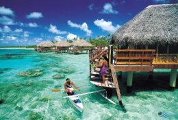 Tropical Beach Paradise