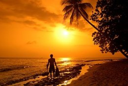 Tropical Beach Paradise