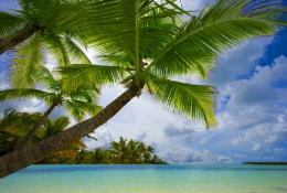 Tropical Beach Paradise