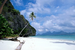 Tropical Beach Paradise