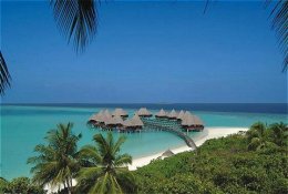 Tropical Beach Paradise