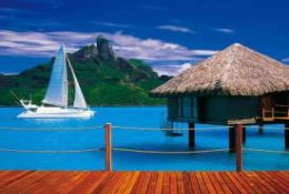 Tropical Beach Paradise